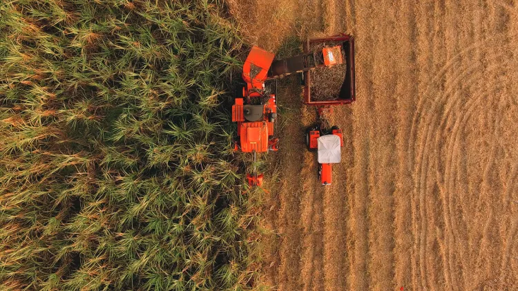 Agriculture