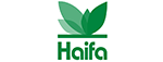 Haifa